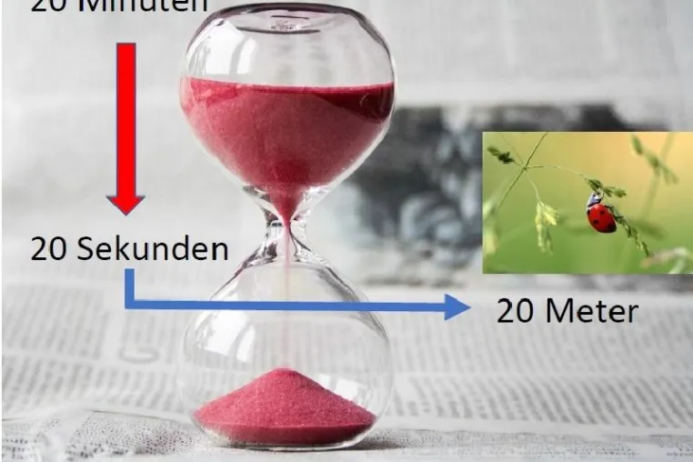 Bild: Das beste Mittel für mehr Konzentration ist Ablenkung