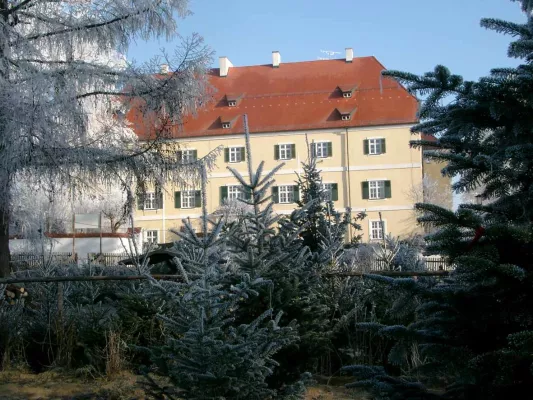 Bild: Traditionelles Christbaumschlagen im Dachauer Hinterland
