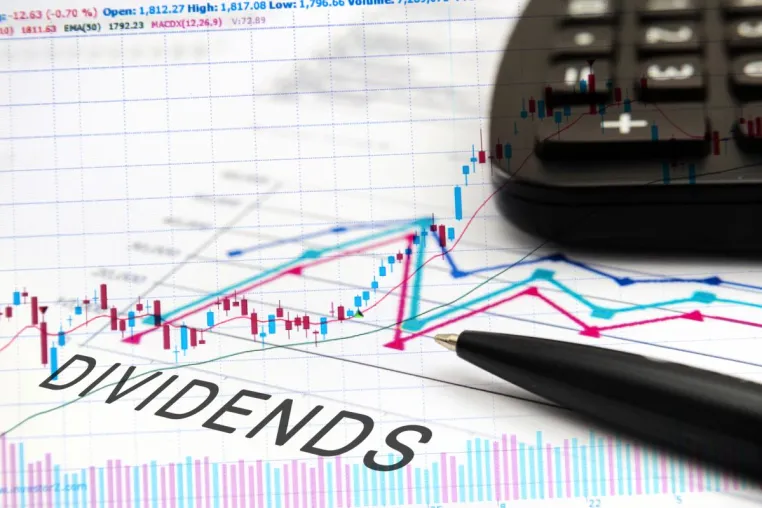 Bild: L-Capital - Mythos Shareholder Value - Fluch oder Segen für die Beurteilung der Unternehmensperformance ?