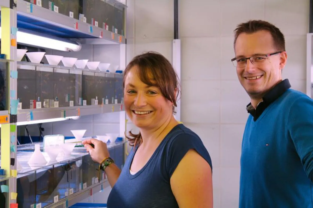 Stephanie Graser und Daniel Liedtke vor Aquarien mit Zebrafischen. ((Foto: Julia Kühl))