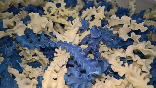 Bild: Schwer behindert – leicht bekloppt - Zwei beste Freunde im Crowdfunding auf Startnext