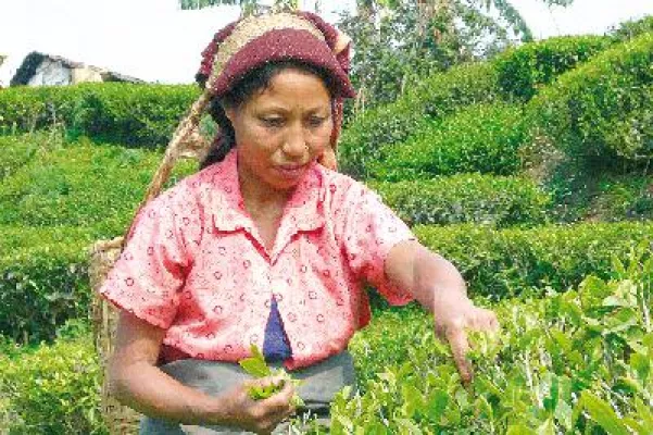 Bild: OASIS mit neuen Produkten auf der BIO West in Düsseldorf