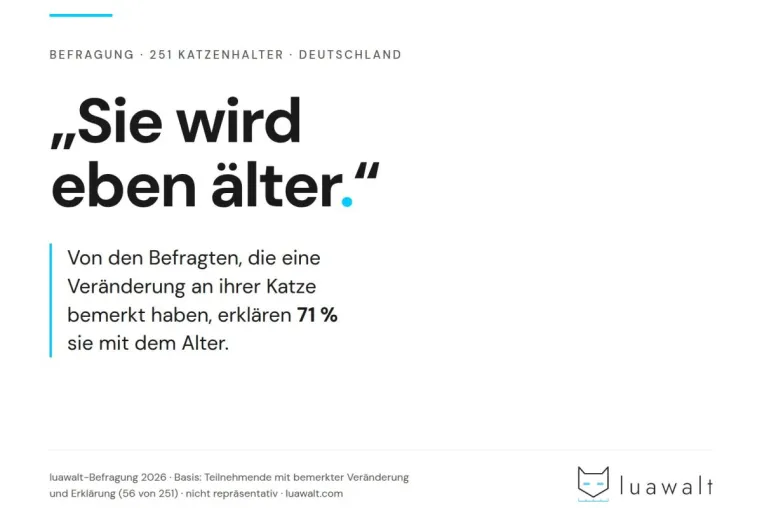 Bild: "Sie wird eben älter" - warum Katzenhalter Warnzeichen richtig sehen und trotzdem falsch deuten