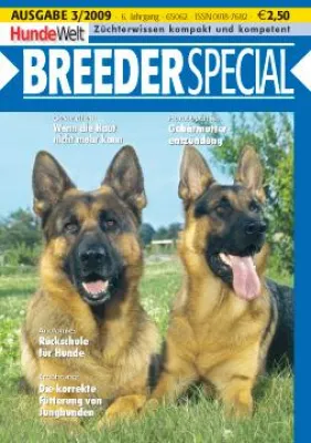 Bild: Rückenschule für Hunde