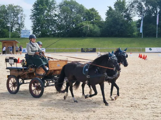 Bild: Fahrsport-Spektakel in Schwaiganger: WEISSL Cup begeistert im Rahmen der Bayerischen Meisterschaften