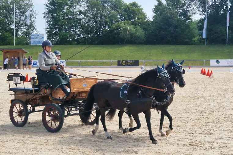 Bild: Fahrsport-Spektakel in Schwaiganger: WEISSL Cup begeistert im Rahmen der Bayerischen Meisterschaften