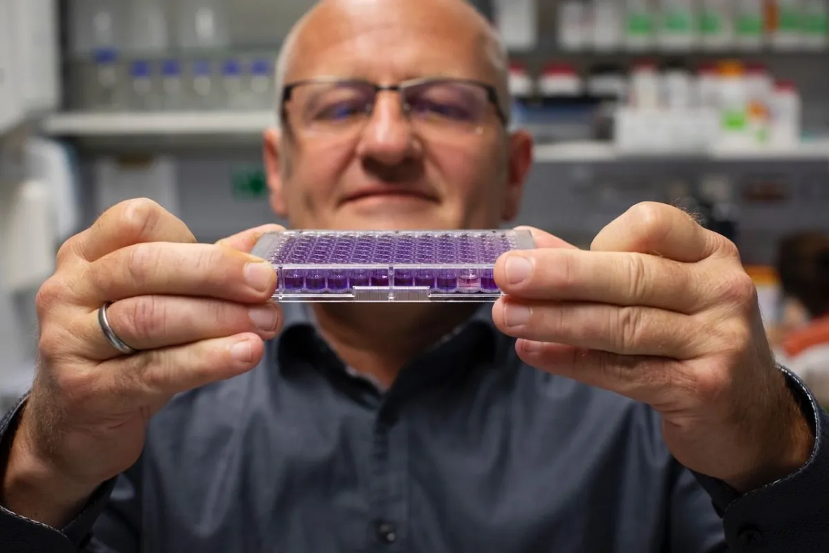 Der seedalive Keimfähigkeitstest: ein Redox-Test mit Resazurin mit Co-Gründer Jens Varnskühler (© David Ebener)