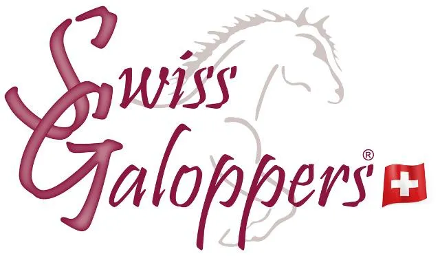 Bild: Swiss Galoppers Crowdfunding - Langlebiger Hufschuh Swiss Made