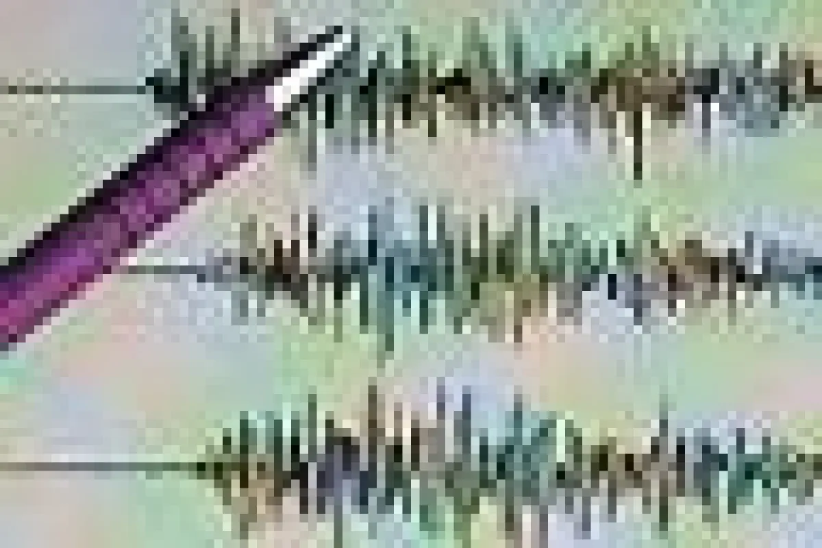 Je mehr Nachbeben, umso besser für Basel.