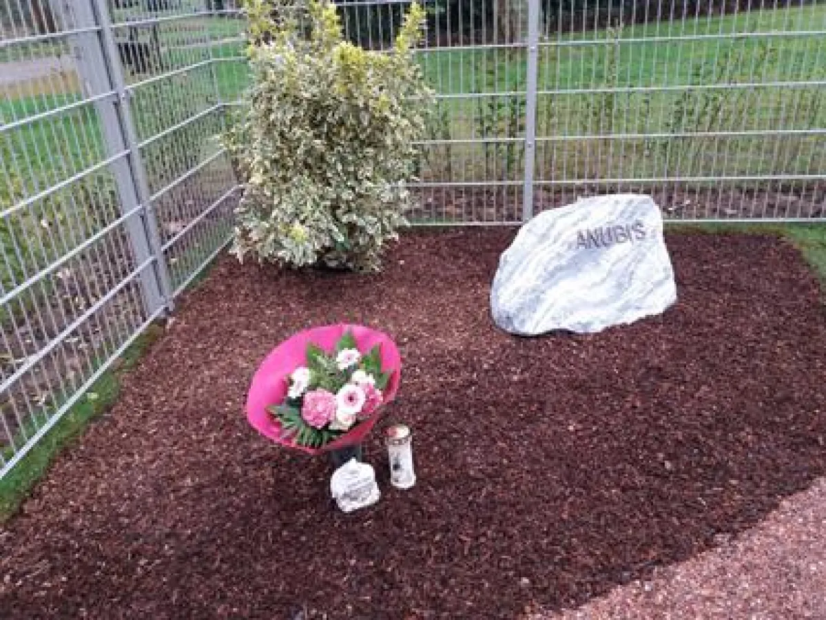 Sammelgrab auf dem Dürener Tierfriedhof