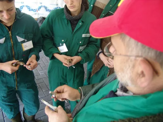 Bild: Kuh- "Pedikürkurs" für Tierärzte zur Verbesserung der Tiergesundheit und Reduzierung von Medikamenten