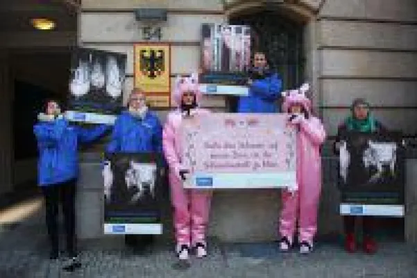 Bild: "Schweine" demonstrieren vor Bundeslandwirtschaftsministerium in Berlin