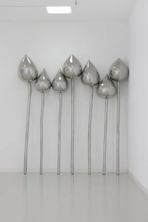 Not Vital, Lotus, 2008