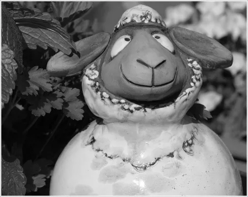 Bild: Neuer Fotowettbewerb: Mein liebstes Schwarzweiß-Bild