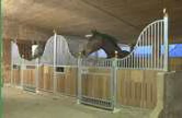 Bild: Reiterhof Reglauer - der Reitstall für München, Starnberg und Umgebung mit neuem Webauftritt