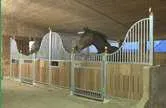 Bild: Reiterhof Reglauer - der Reitstall für München, Starnberg und Umgebung mit neuem Webauftritt