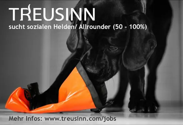 Bild: TREUSINN sucht sozialen Helden/ Allrounder (50 - 100%)