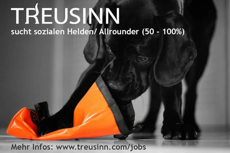 TREUSINN sucht sozialen Helden/ Allrounder (50 - 100%) Bild: TREUSINN sucht sozialen Helden/ Allrounder (50 - 100%)