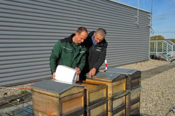 Hermes Fulfilment erntet in Haldensleben 390 Kilogramm Honig Bild: Hermes Fulfilment erntet in Haldensleben 390 Kilogramm Honig