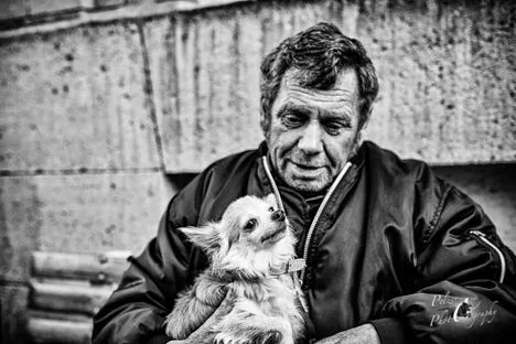Benefizveranstaltung „Hund & Mensch“ zu Gunsten der Teestube der Diakonie Wiesbaden Bild: Benefizveranstaltung „Hund & Mensch“ zu Gunsten der Teestube der Diakonie Wiesbaden