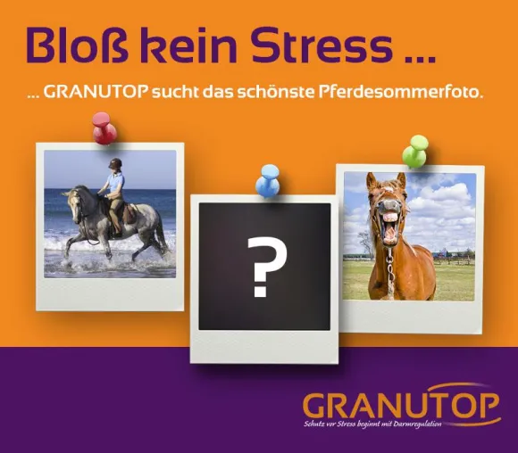 Bild: GRANUTOP sucht das Sommer-Pferdefoto 2013