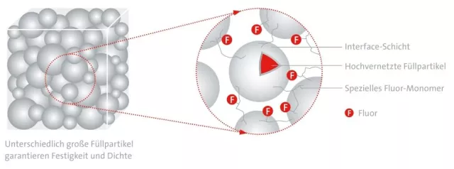 Bild: Kunststoffzähne aus innovativem Composite-Material
