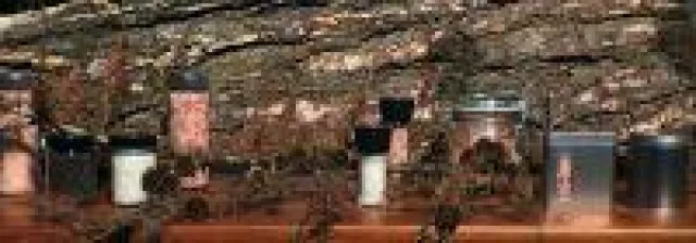 Bild: Salzmühlen mit Himalayasalz als ideale Geschenkidee
