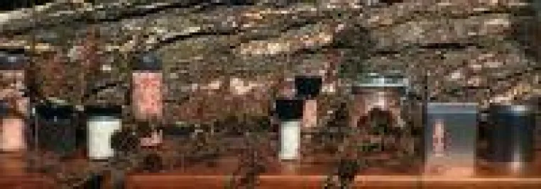 Bild: Salzmühlen mit Himalayasalz als ideale Geschenkidee