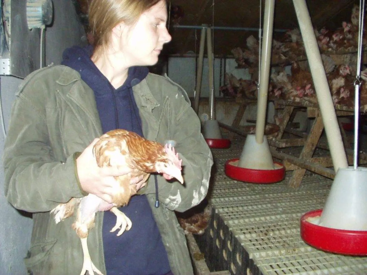 Befreiung aus einer Bodenhaltung