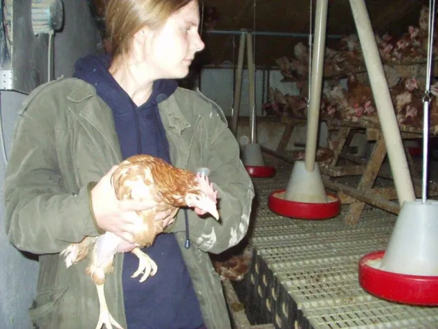 Bild: 15 Hühner aus Legebatterie und Bodenhaltung befreit