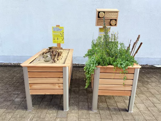 Bild: Hilft Wildbienen - Die 5 Sterne Rettungsinsel im Asphaltmeer