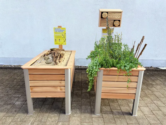 Bild: Hilft Wildbienen - Die 5 Sterne Rettungsinsel im Asphaltmeer