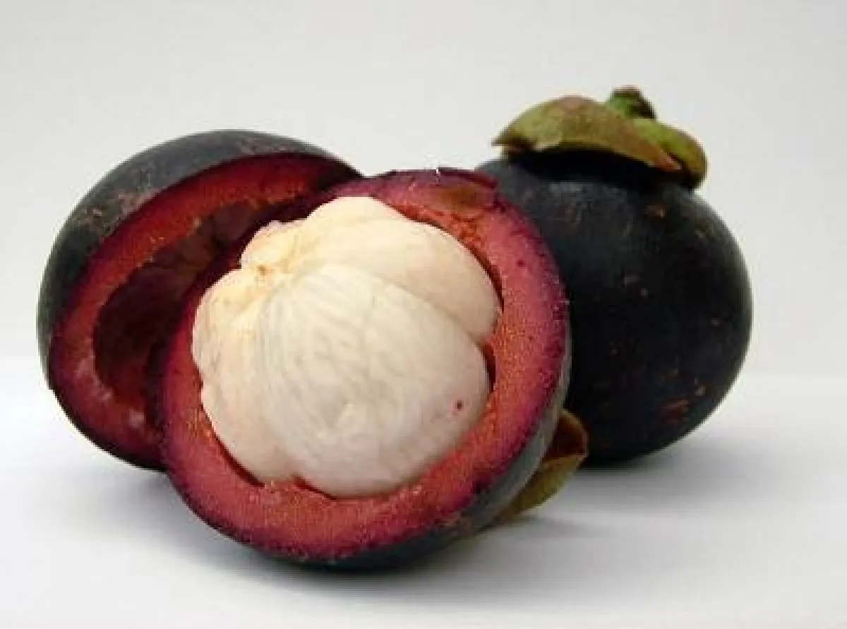 Mangostan - Magostane - Mangosteen