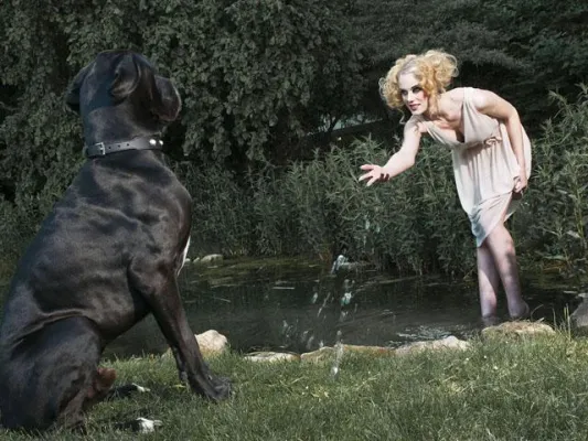 Kunst zum guten Zweck im Liechtenstein Museum Bild: Kunst zum guten Zweck im Liechtenstein Museum