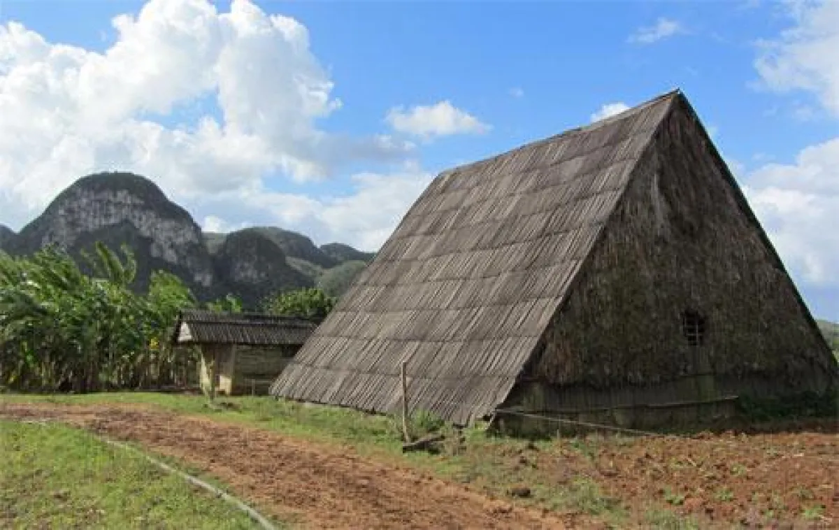 Kubanische Zigarren im Tabakland Kuba erleben - Valle de Viñales