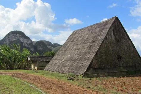 Zigarren-Reisen nach Kuba - kubanische Zigarren erleben Bild: Zigarren-Reisen nach Kuba - kubanische Zigarren erleben