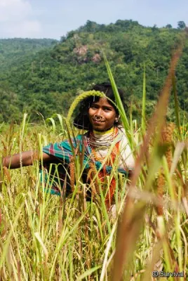 Indien: Minenbefürworter nötigen und bedrohen Menschenrechtsermittler Bild: Indien: Minenbefürworter nötigen und bedrohen Menschenrechtsermittler