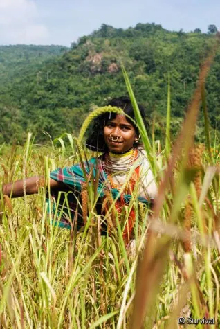 Bild: Indien: Minenbefürworter nötigen und bedrohen Menschenrechtsermittler