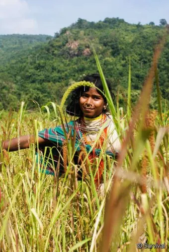 Indien: Minenbefürworter nötigen und bedrohen Menschenrechtsermittler Bild: Indien: Minenbefürworter nötigen und bedrohen Menschenrechtsermittler