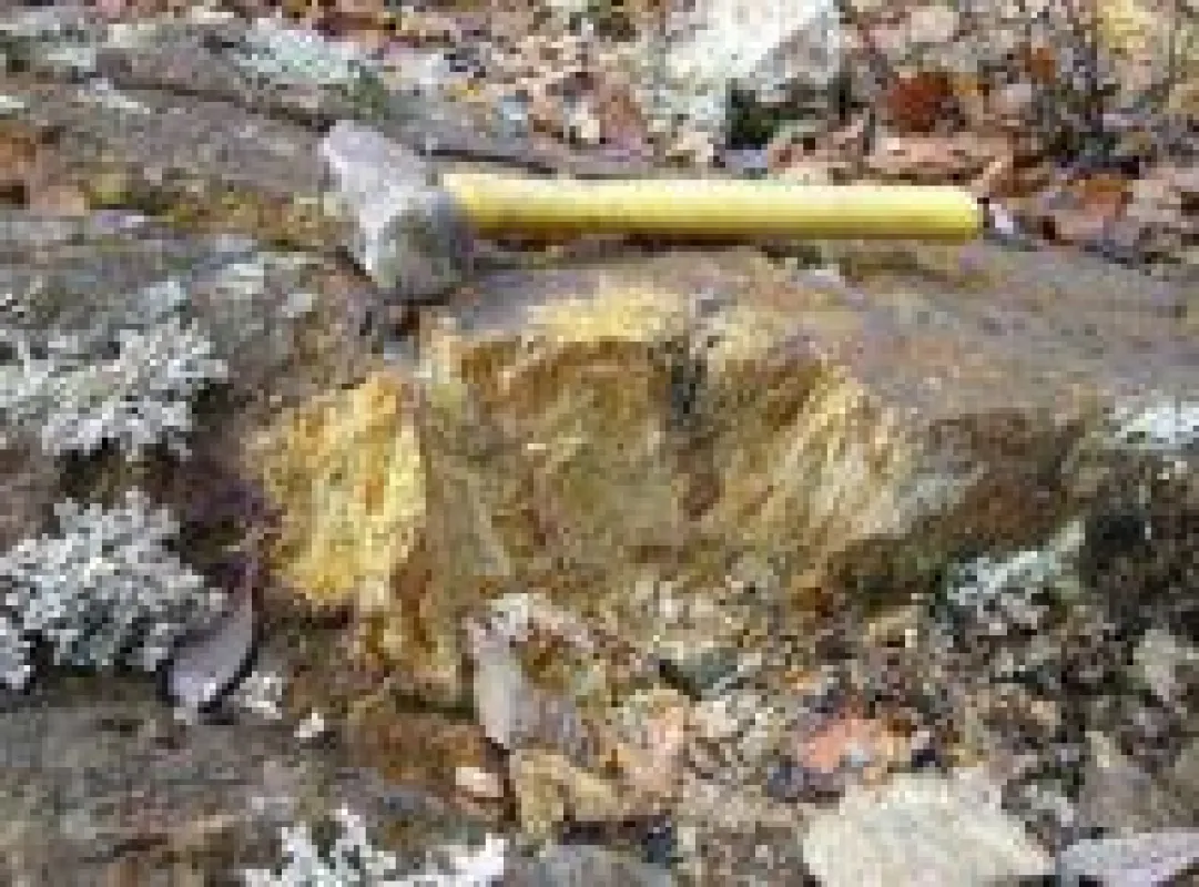 Goldhaltiges Gestein