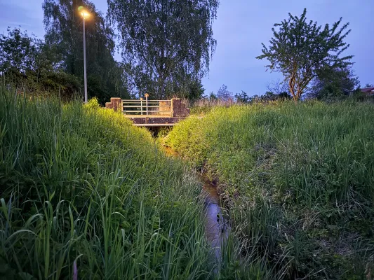 Bild: Lichtverschmutzung verändert Nahrungsnetze an Flussufern