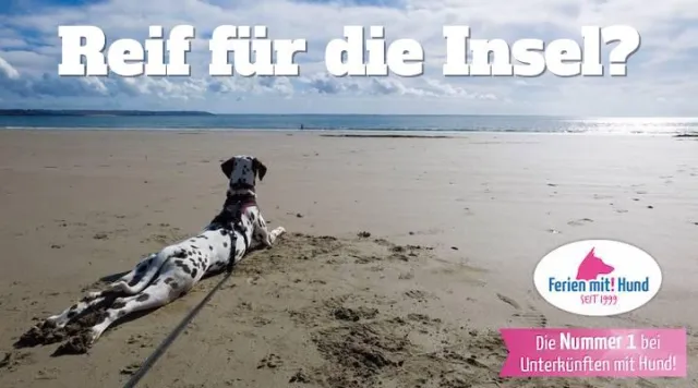Das Beste für dich und deinen Hund! Bild: Das Beste für dich und deinen Hund!