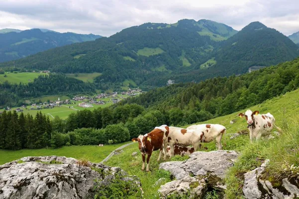 Traditionelle Landwirtschaft fördert Ernährung, Ökosysteme und kulturelle Identität Bild: Traditionelle Landwirtschaft fördert Ernährung, Ökosysteme und kulturelle Identität