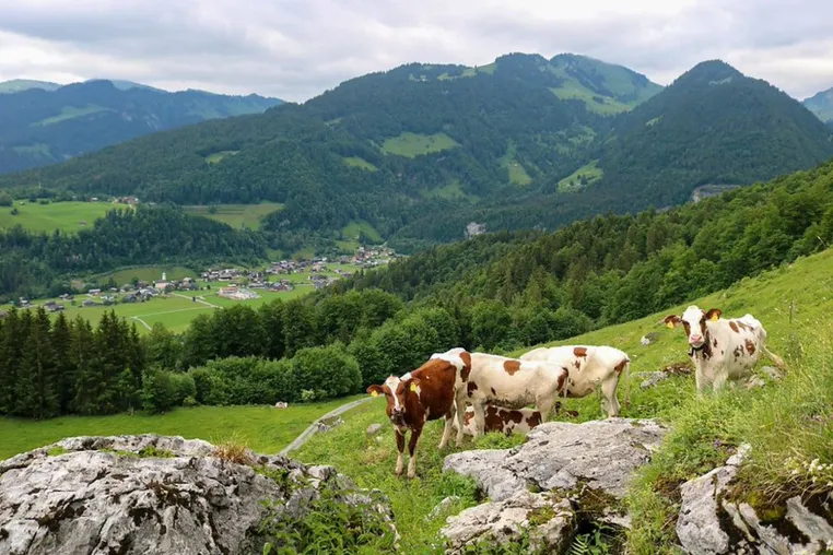 Bild: Traditionelle Landwirtschaft fördert Ernährung, Ökosysteme und kulturelle Identität