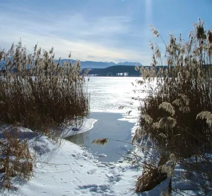 Bild: Wo der Urlaub zum Wintermärchen wird: Weiß-Blaue Romantik in der Ferienregion Waginger See