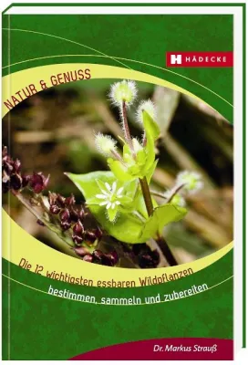 Bild: Ausbildung „Fachberater/in Selbstversorgung für essbare Wildpflanzen“ mit Hochschulzertifikat