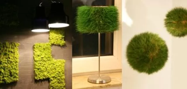 Bild: Eau de Grass