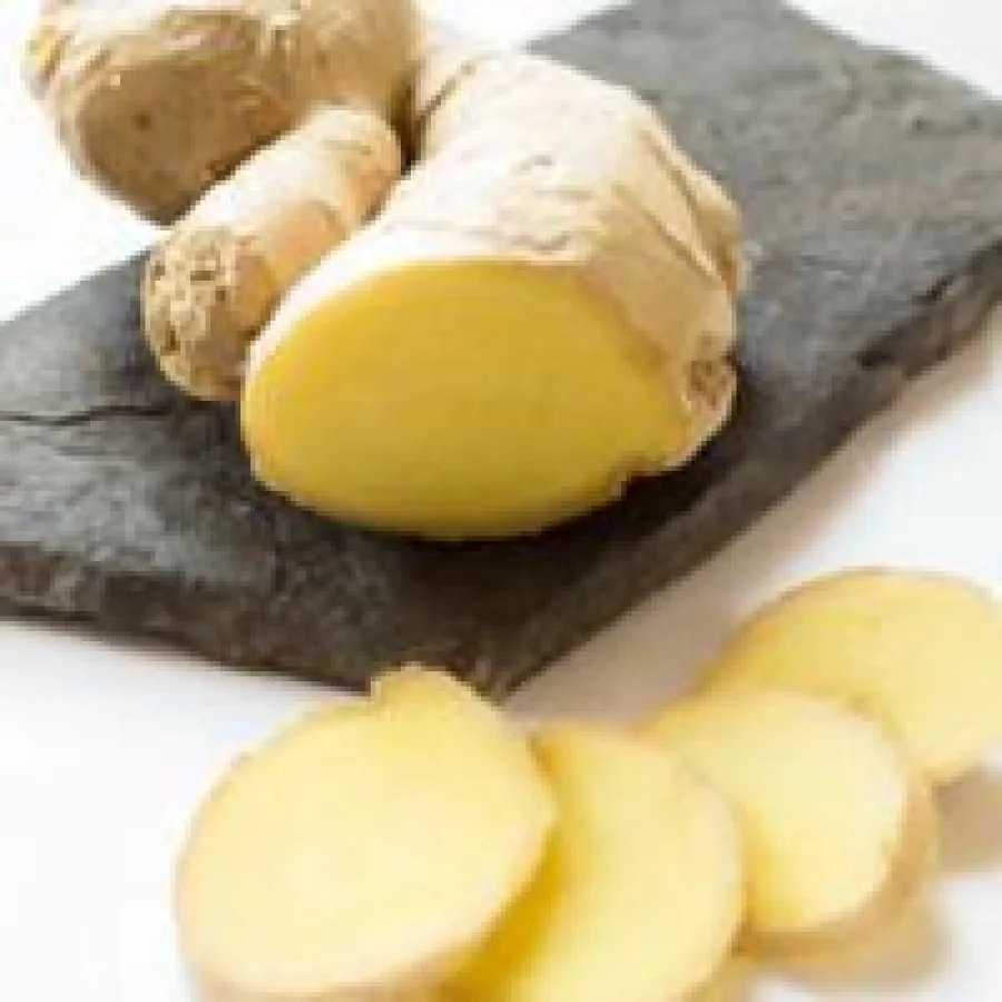 Copyright: Sushi Circle