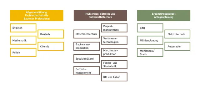 Bild: „Bachelor Professional“ auch an der DMSB - International vergleichbare Abschlussbezeichnung eingeführt