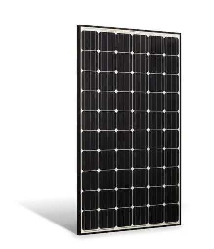 Bild: Preissicher: Kein Strafzoll-Risiko mit Photovoltaikmodulen von WINAICO